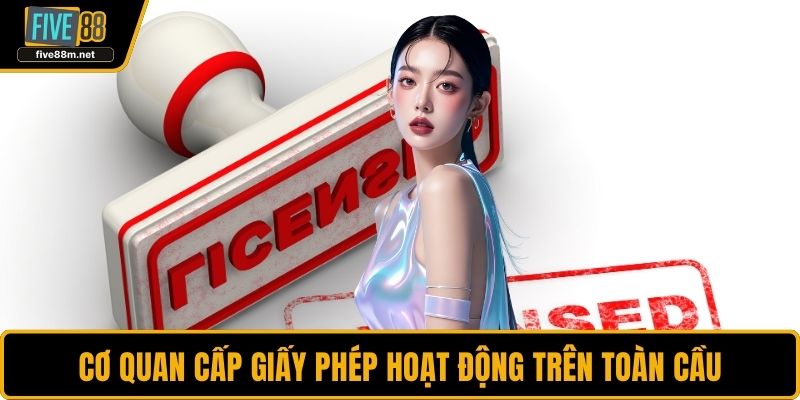Cơ quan cấp giấy phép hoạt động trên toàn cầu
