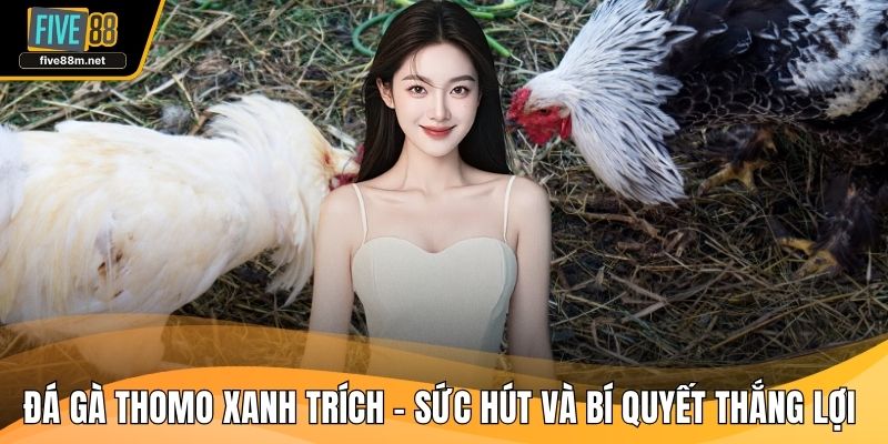 Đá gà thomo xanh trích