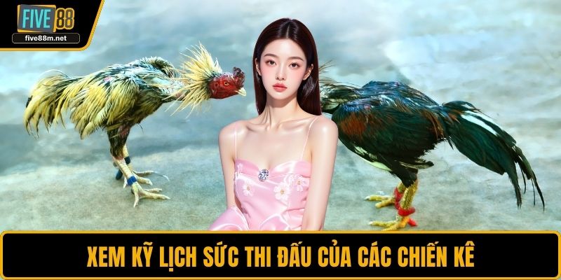 Xem kỹ lịch sức thi đấu của các chiến kê